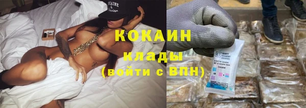 альфа пвп Елизово