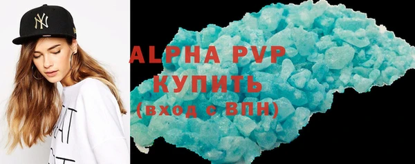 PSILOCYBIN Ельня