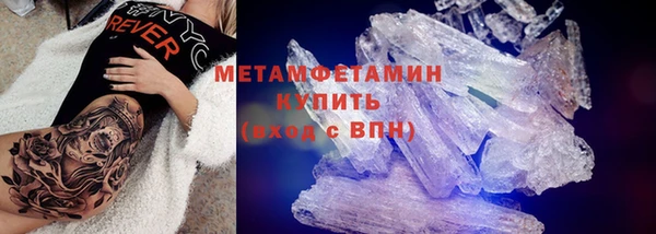 PSILOCYBIN Ельня