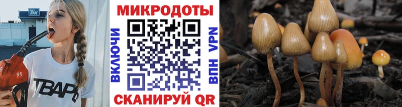 Галлюциногенные грибы мицелий  даркнет сайт  Знаменск 